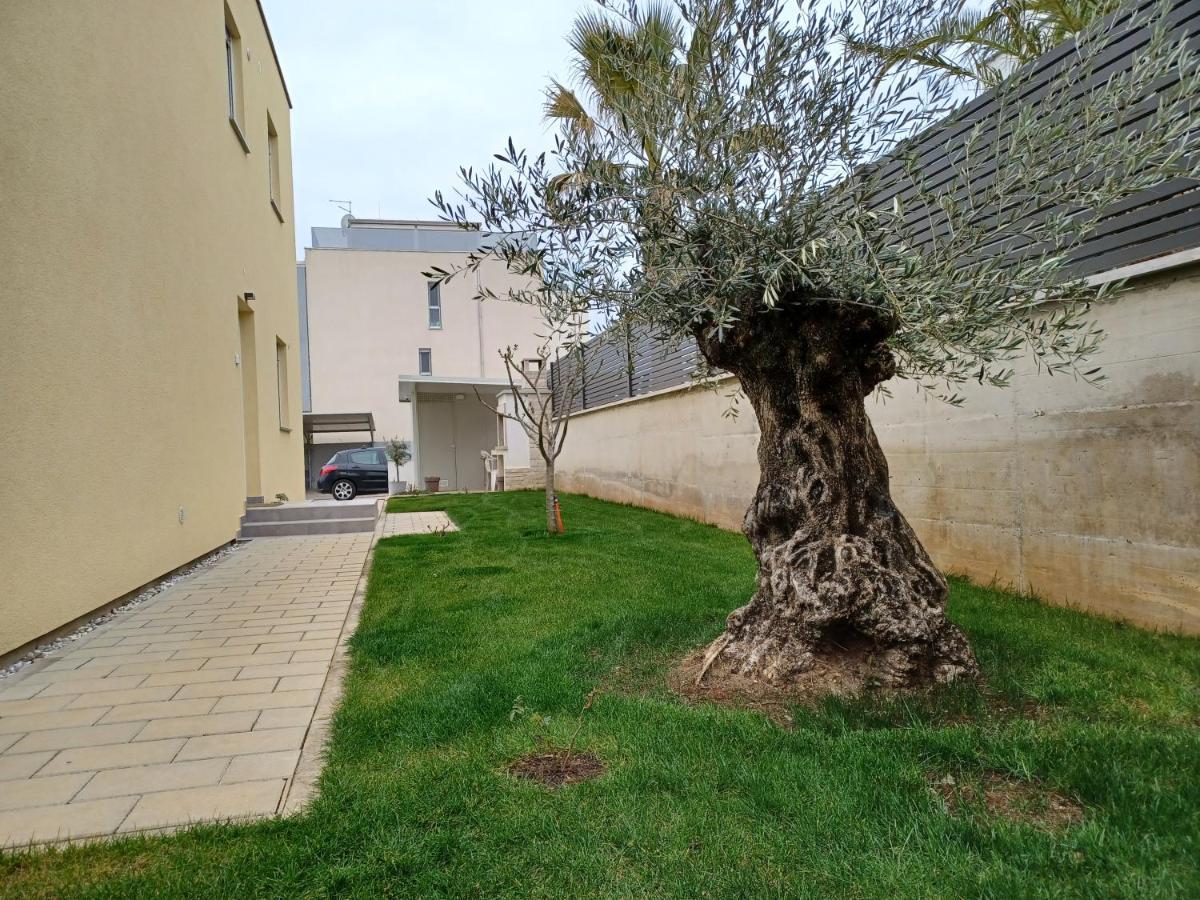 Apartments Leon 2 Novigrad  Екстер'єр фото